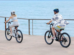 Image of XD26-II Hybrid Electric Bike